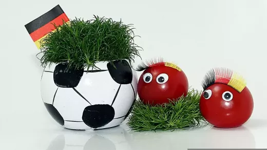 Finale de la Coupe du monde de Hongrie et d'Allemagne de l'Ouest 1954